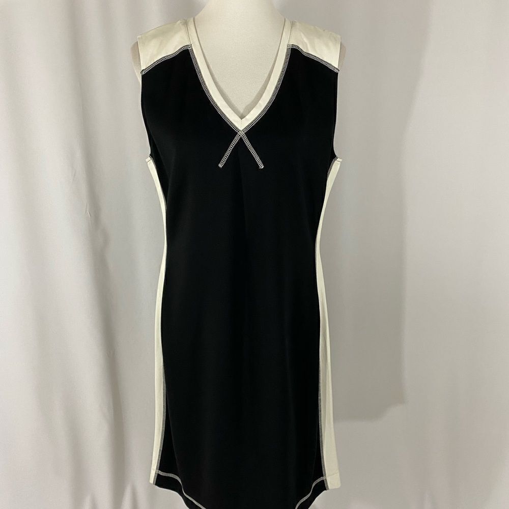 NWT Lynn Ritchie Silver Sleeveless Dress